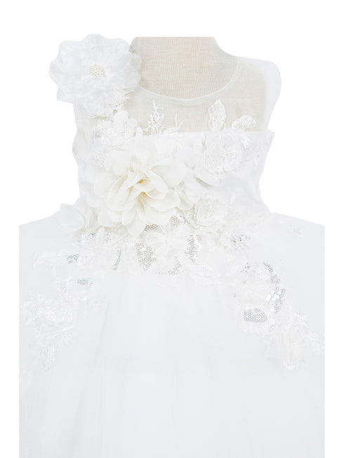 Baby Girls Lala & Erina Ivory Tulle Lace 3D Applique Flower Girl Dress 3-24M front detail